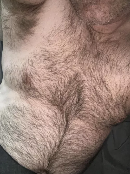 My Hair is Growing Back