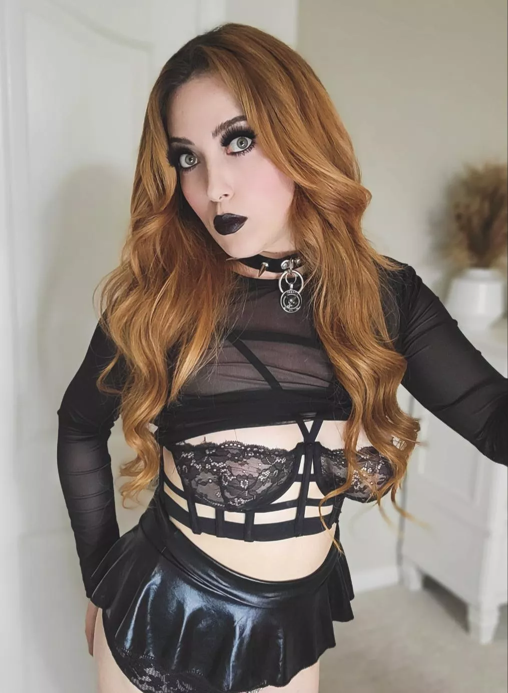 My new spiked kitten collar.