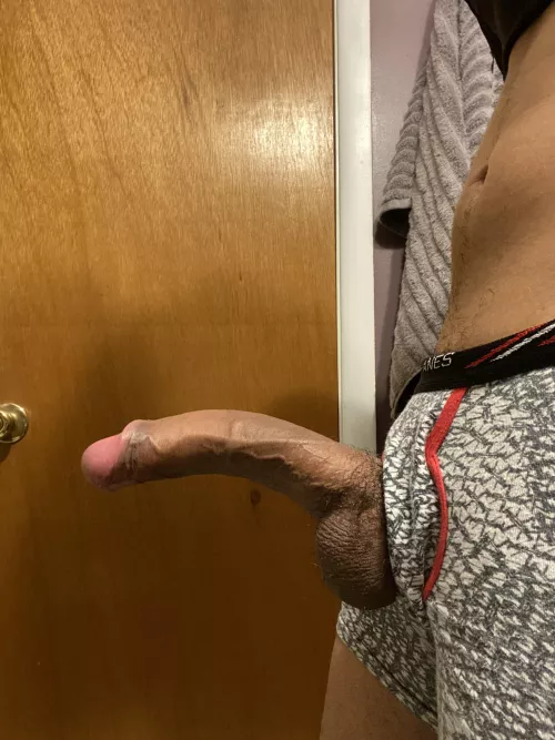 Think you can come tame this?