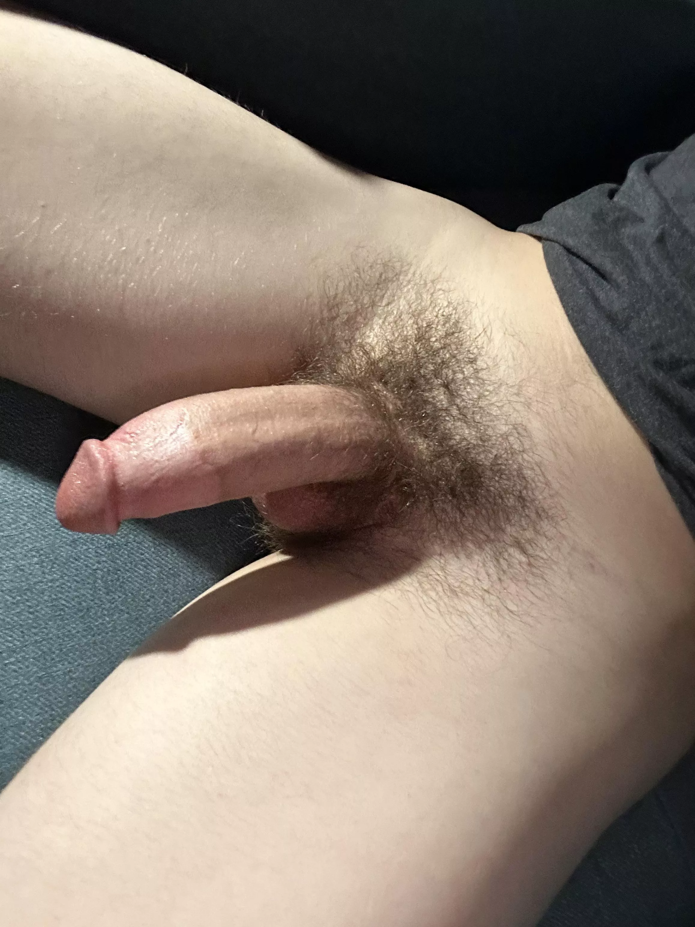 Thoughts on my cock?
