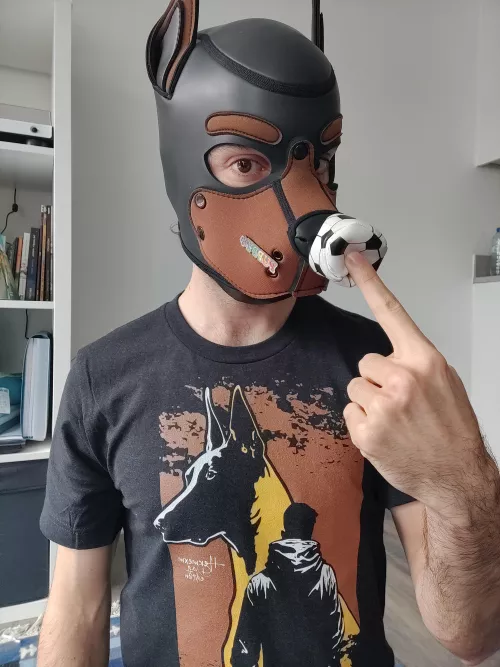 who wants boops and play with this ball 🐶🐾