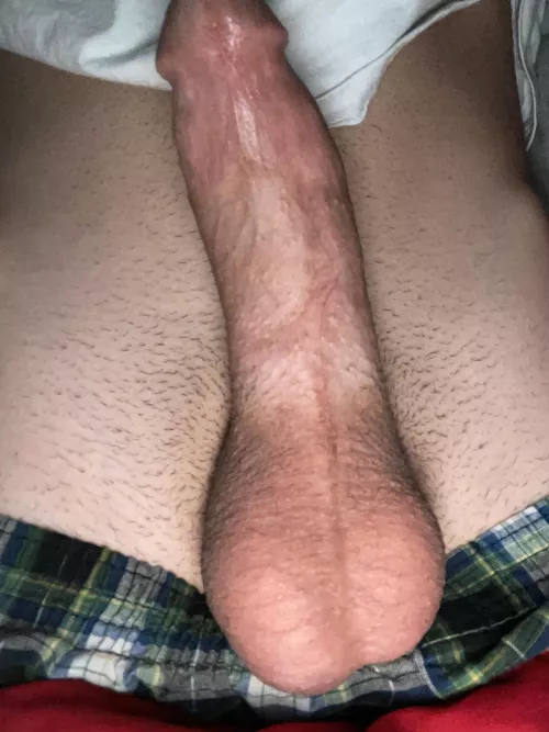 18 year old cock