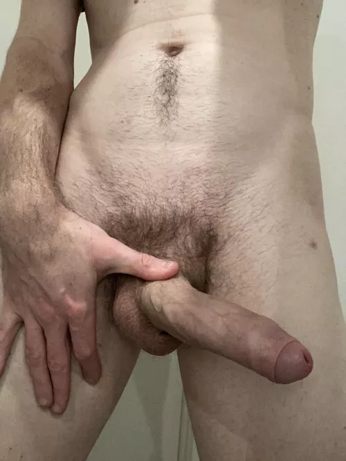 Afternoon uncut cock