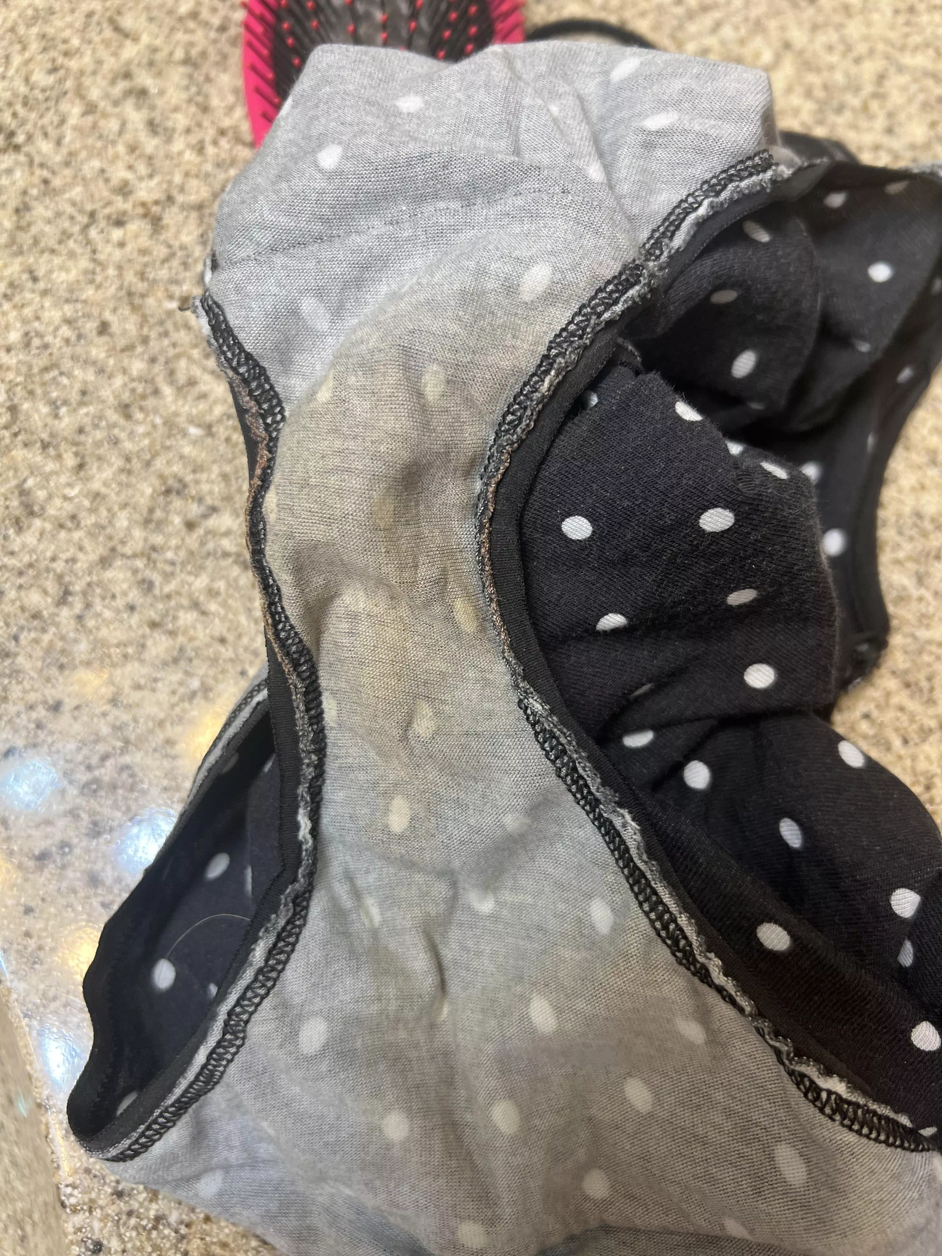 Another great day chatting