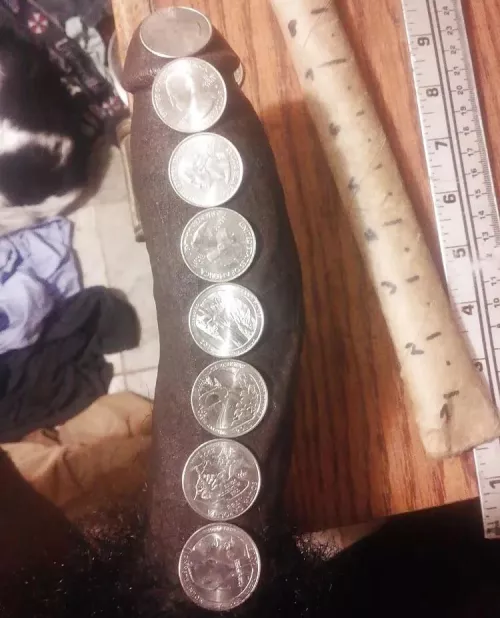 Anyone ever try this 1 out?