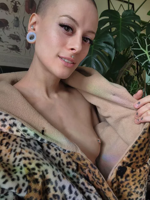 come cuddle, and let's rub heads