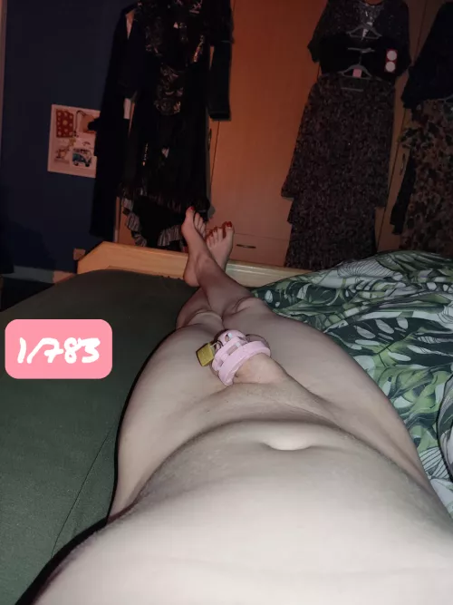 Day number 1 of 783 ( am allready locked about 50 days ) , how should i keep Reddit updated of my chastity journey ? 🥵😍