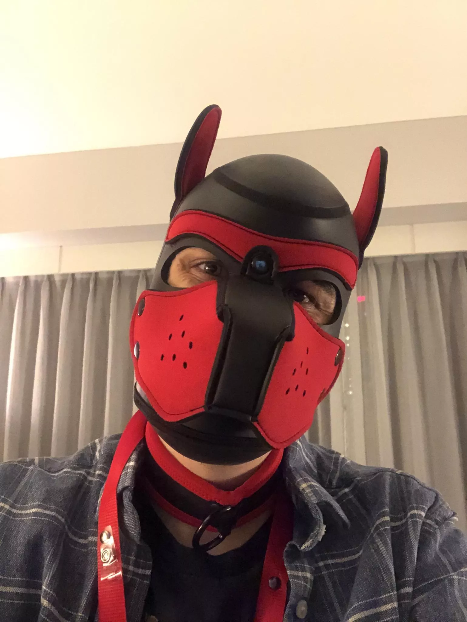 Hi there! Long time lurker first time poster!