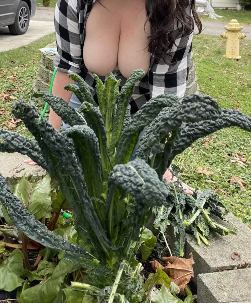 If you were my neighbor, would you help me in the garden?