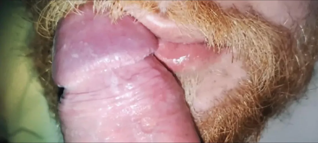 There’s no use denying it any longer - I love hard cocks in my mouth