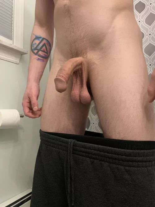 What do you think of them