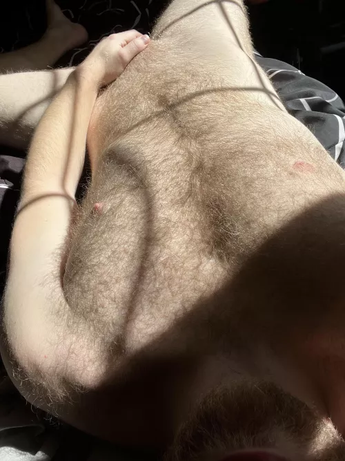 Hairy enough for you??? Dm open