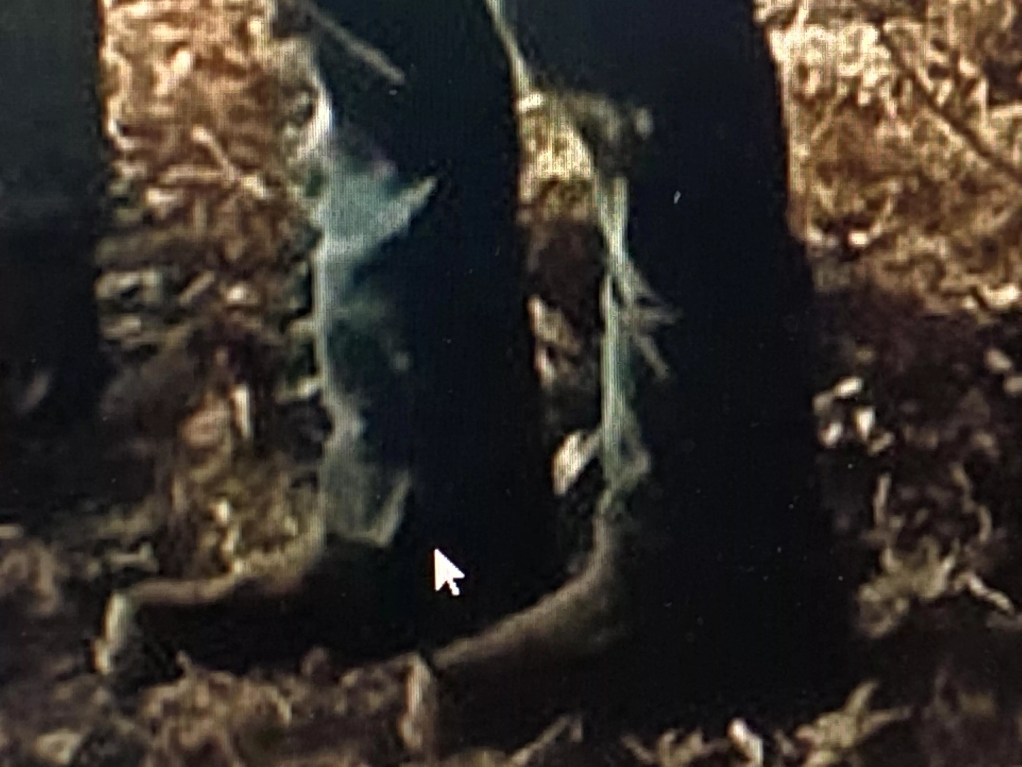 Hello, I hope y’all are doing well. Does anyone recognize these boots? Ty!!