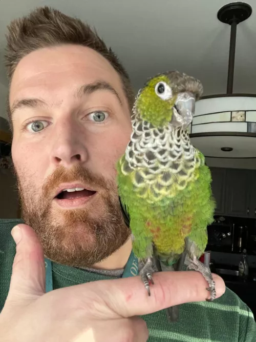 I’m not being sexy but here’s my conure named Alistair.