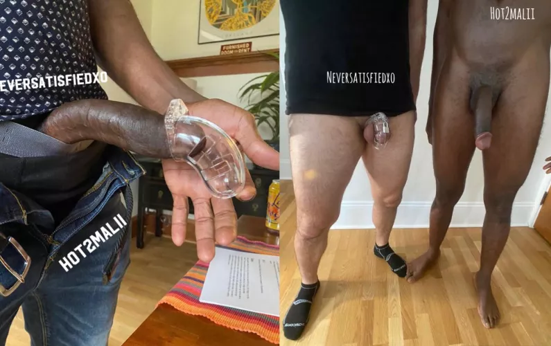 The chastity cage didn’t even fit past my bulls head but it was too big for my husband