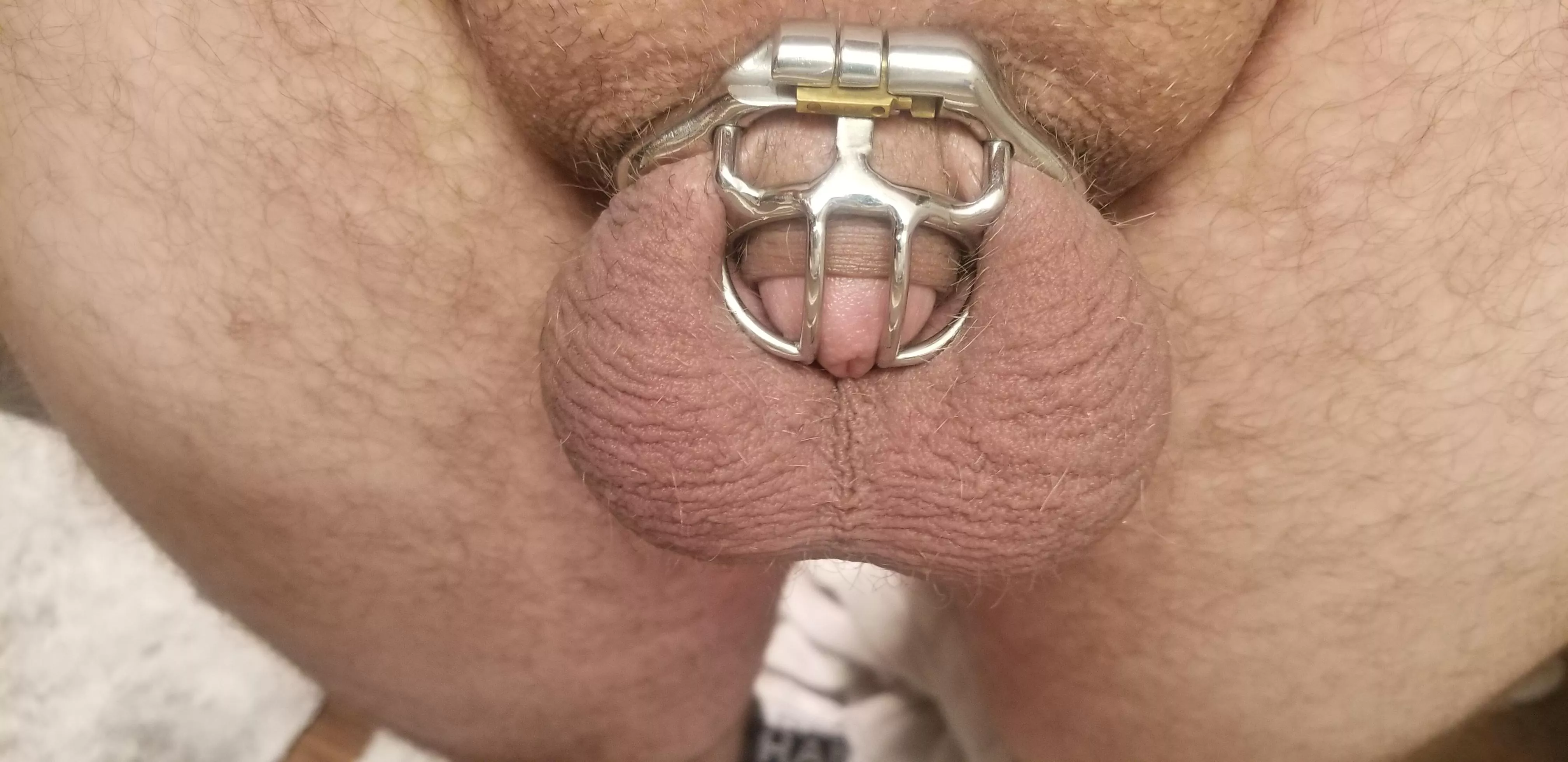 They get so full after watching her get fucked