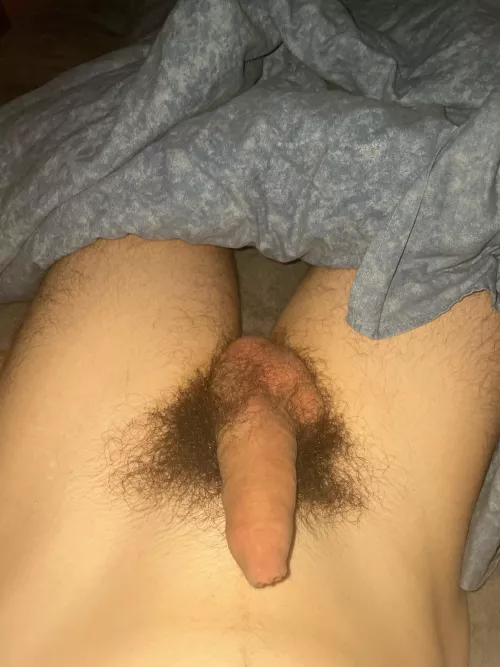 Wanna see it hard and compare ? (French and hairy is a +)