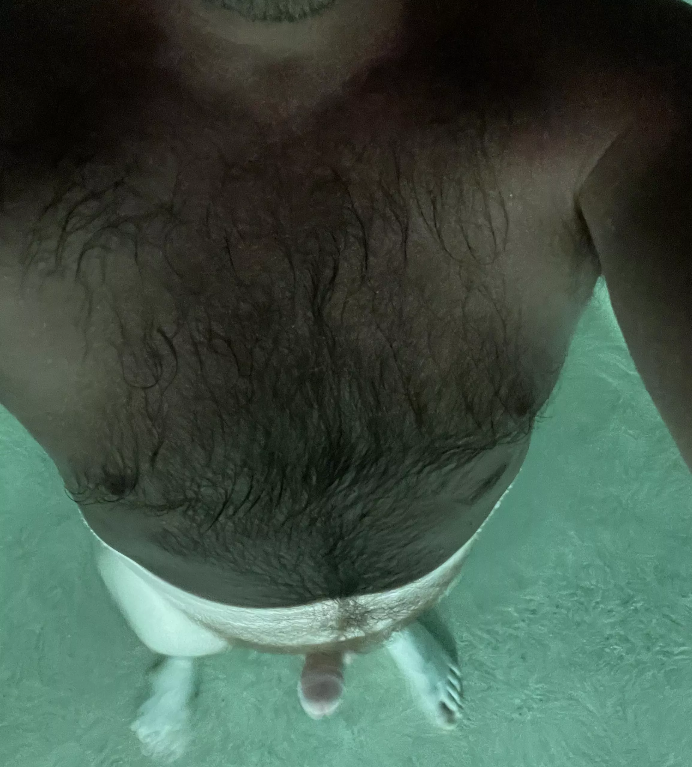 Wet fur from skinny dipping