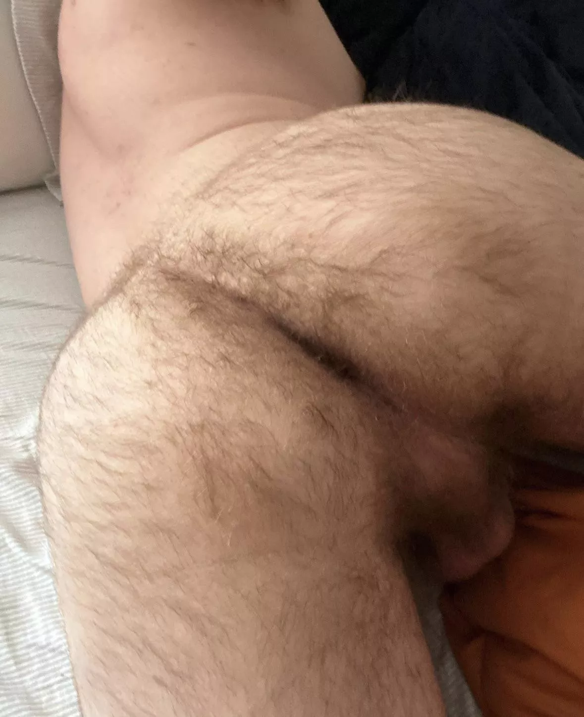 21 dmih54321 into hairy