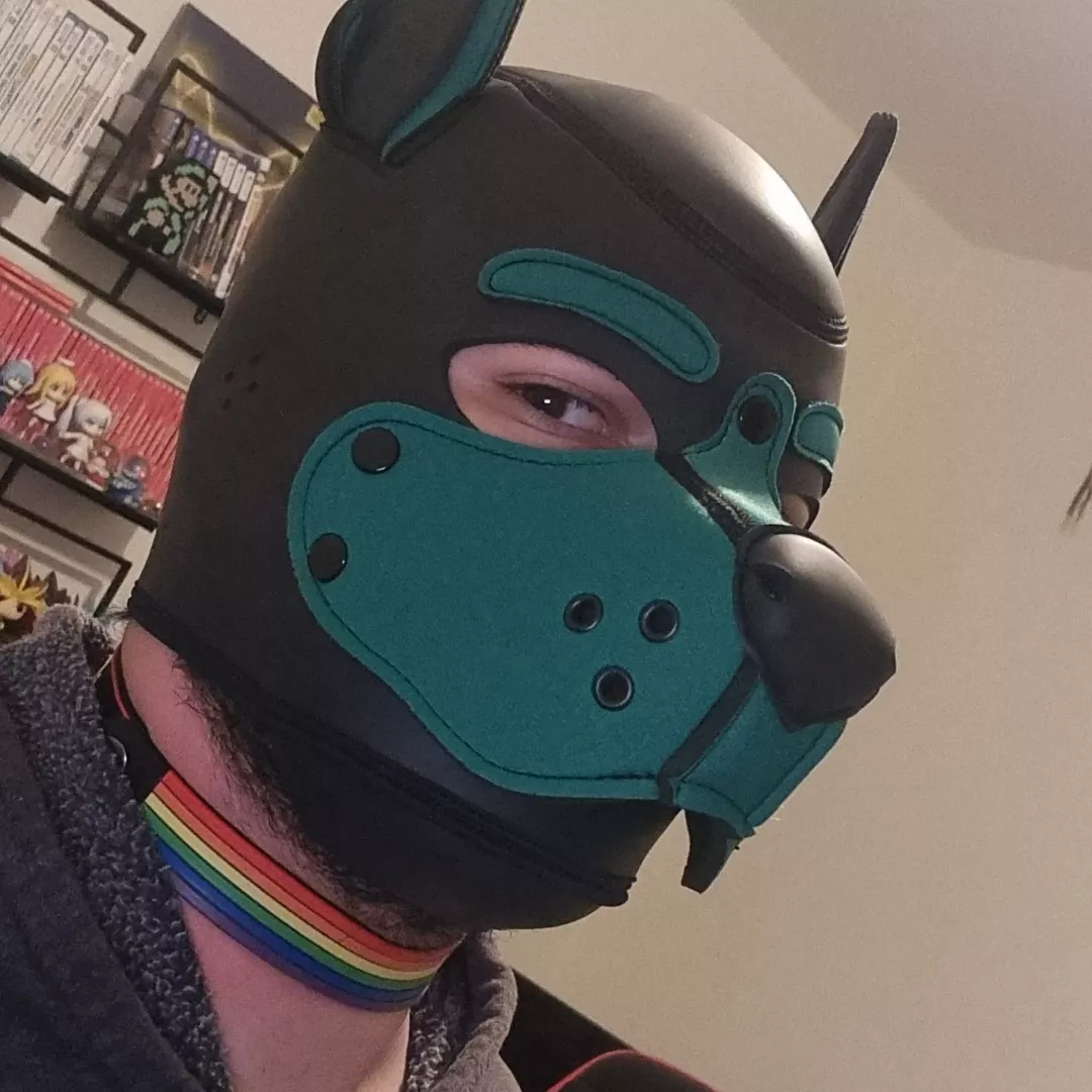 decided to make a little makeshift collar/choker