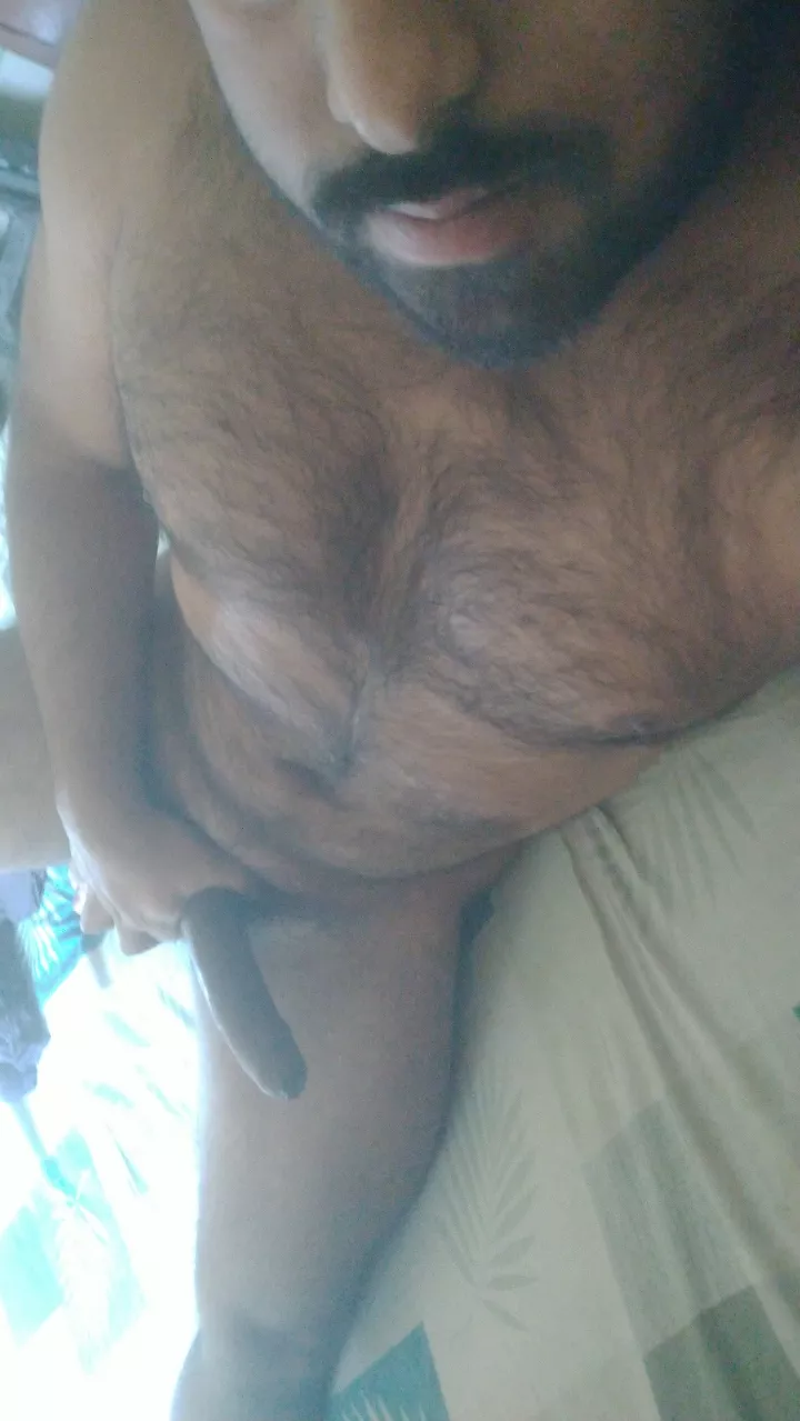 Do I pass for a cub?