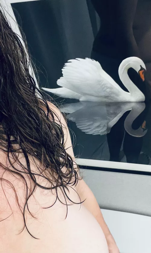 Duckling to Swan via Reddit