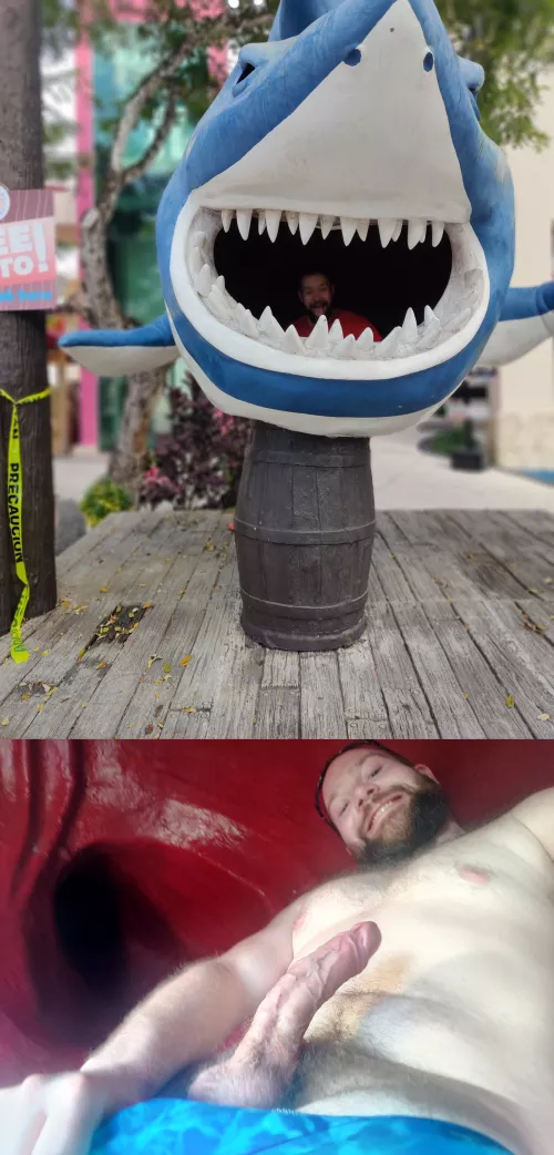 Giving the Shark a Mouthful