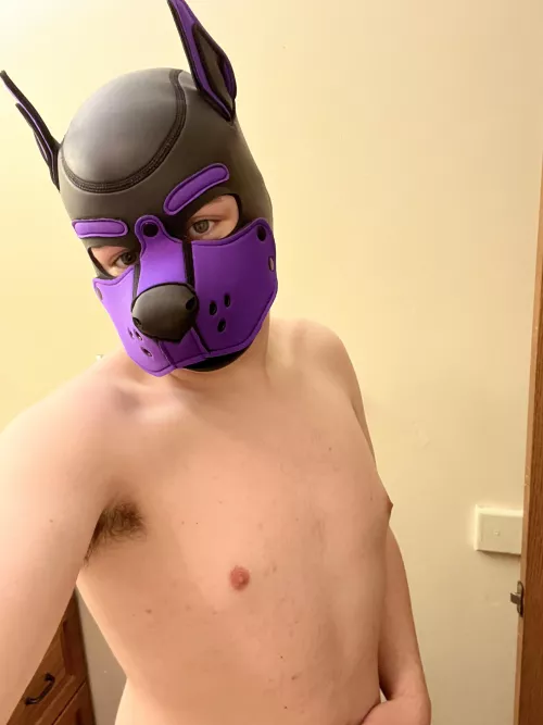 Got my new hood today. So exited 🤩