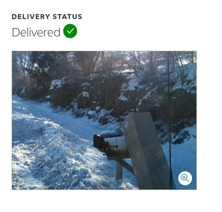 I was telling about how FedEx nearly destroyed my doll this last time and I found the photo that they sent me. The neck bolt was poking through the box even and this is by the roadside.