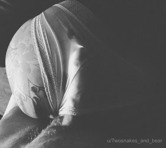 🎶 I’m not afraid not at all /I watch them all as they fall /But I remember When we were young🎶