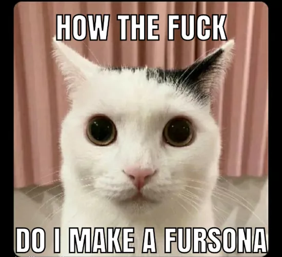 Just got into the community, any tips?