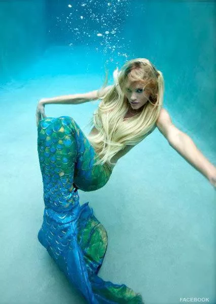 Look at this Cunt. Isn't She Neat? Wouldn't you like her to Submit at your feet? With Exotic Fantasy Pet Re-Education even Your Cunts can be One!