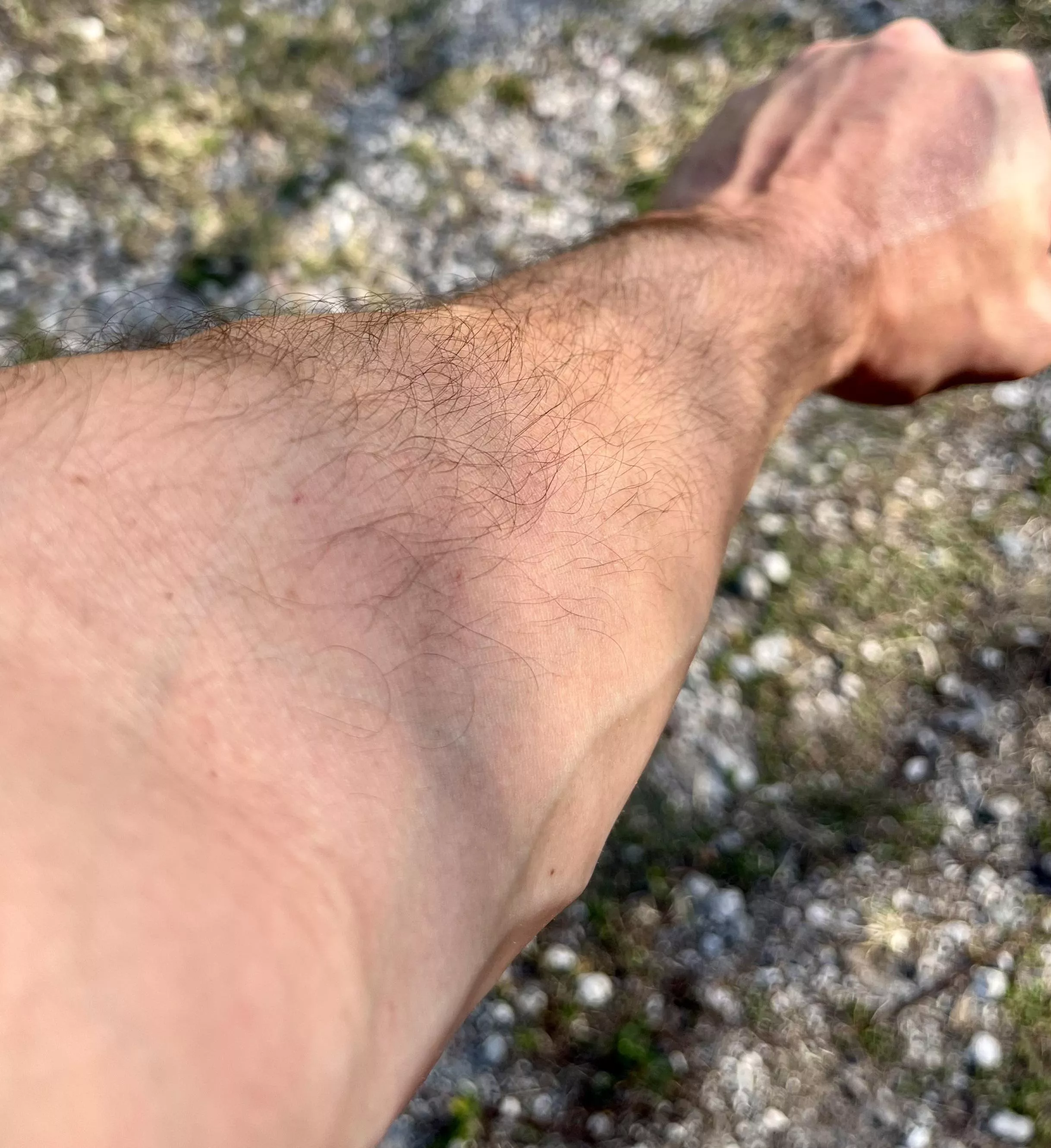 What do you title these things?