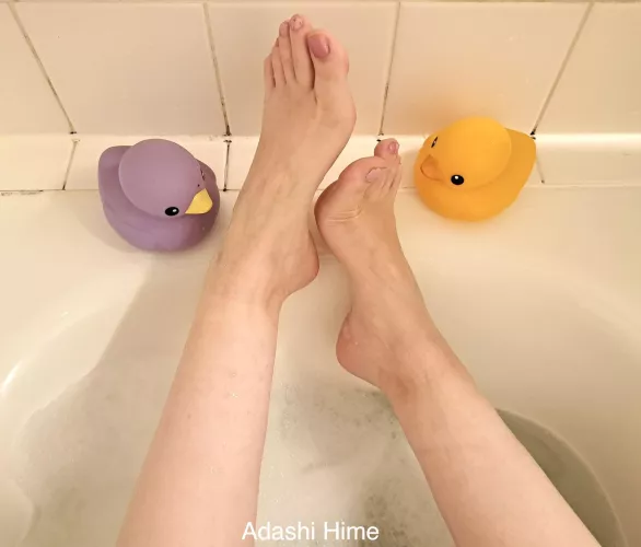 Which duck would you like to be ?