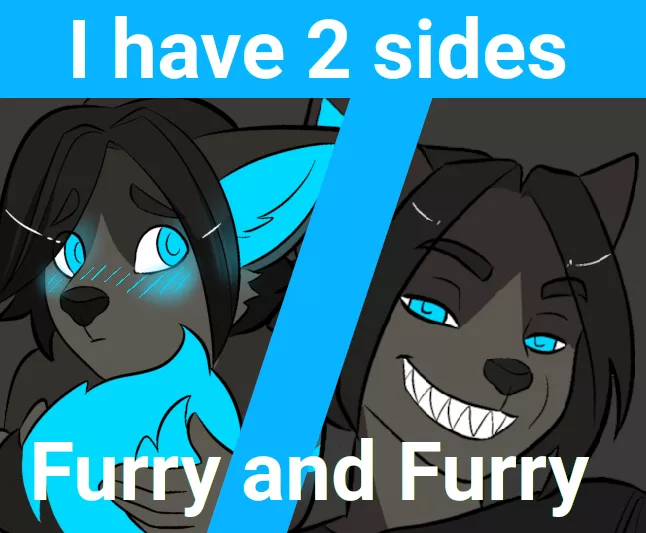 Furry and Furry
