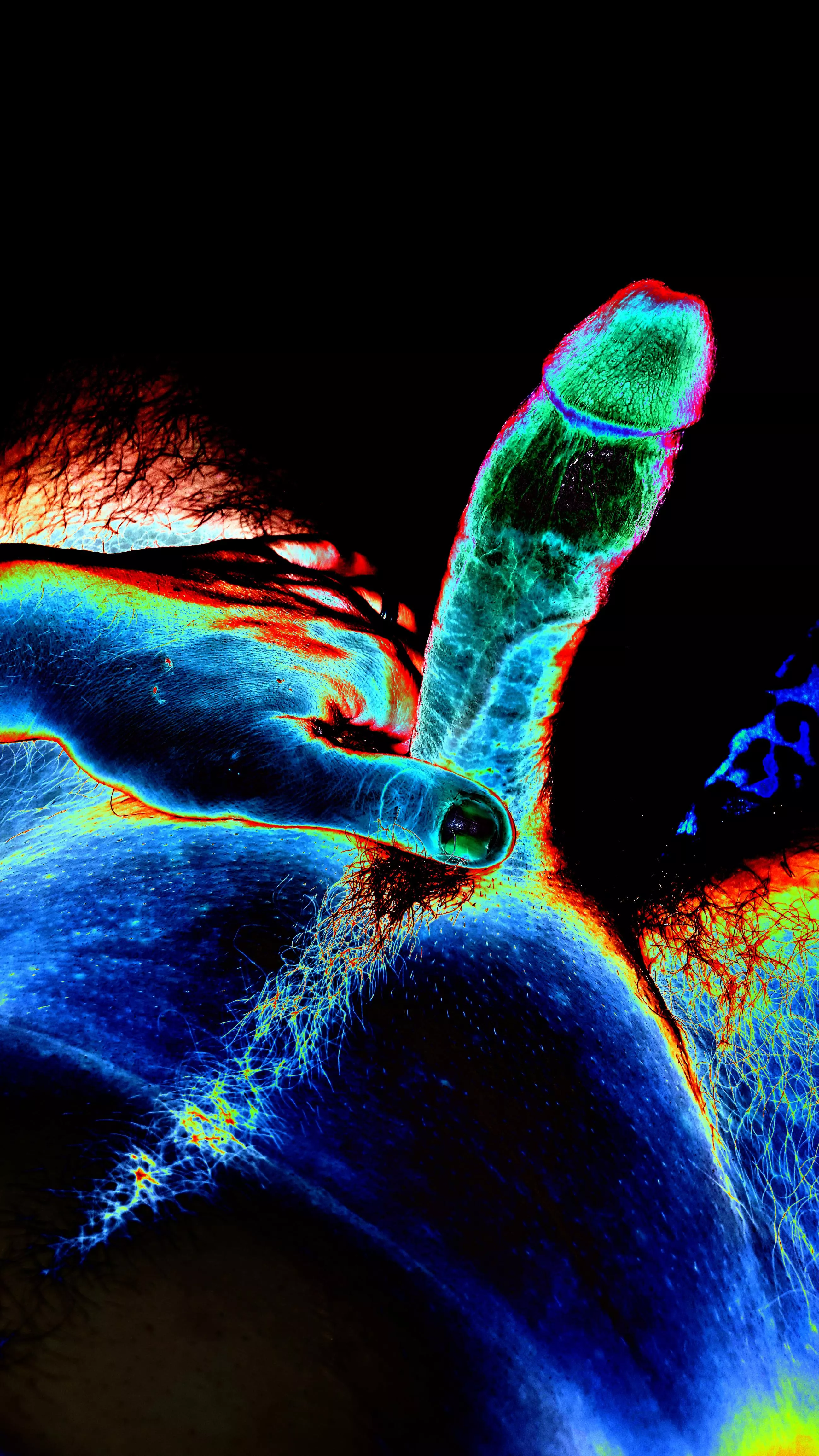 interesting colors!!