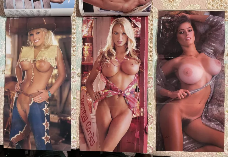 Just added 3 more beauties - (Left to Right: Jaime Bergman, Cassandra Lynn, Karen Price)
