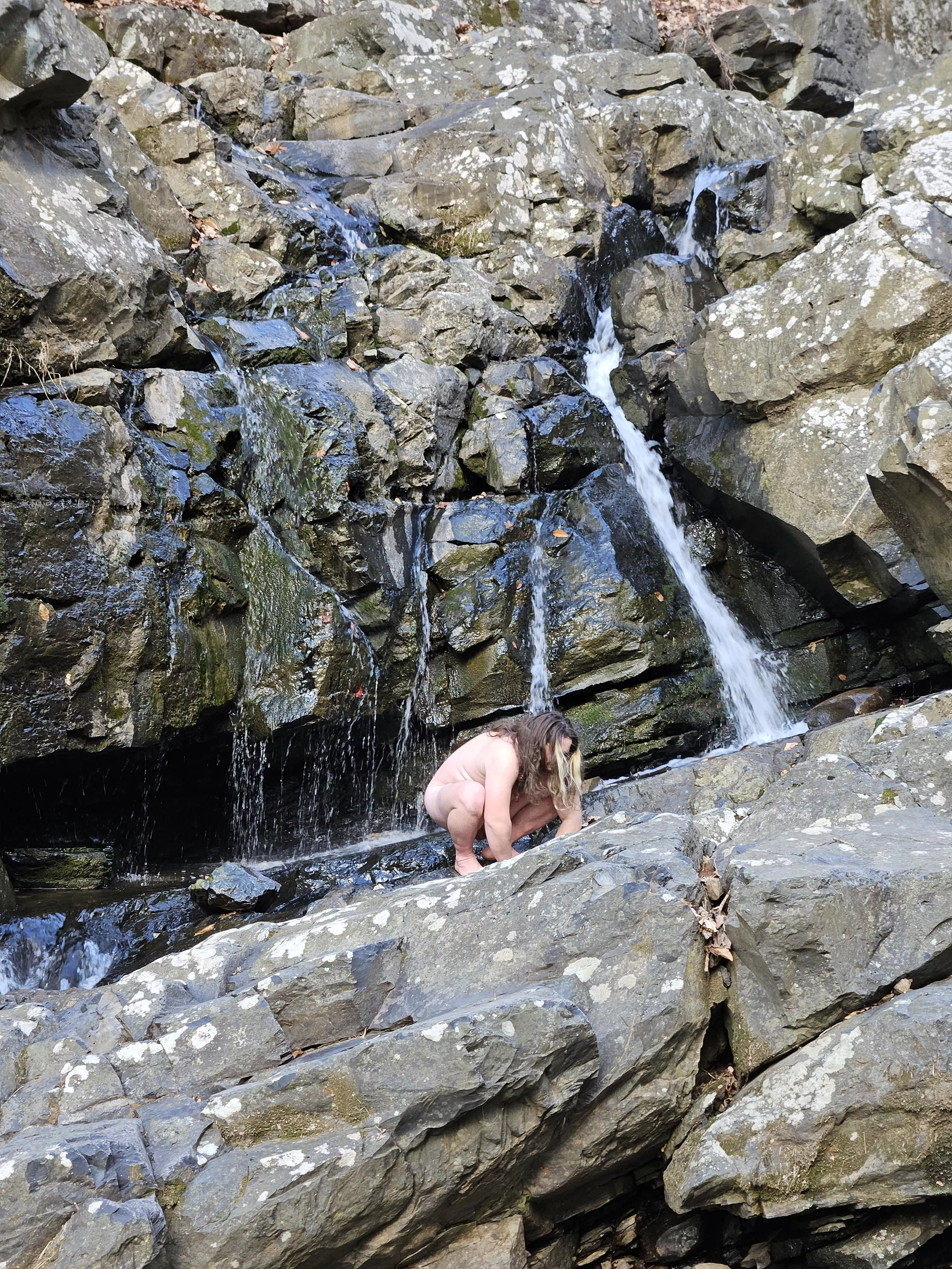 just checking out some lichen, [nb]d
