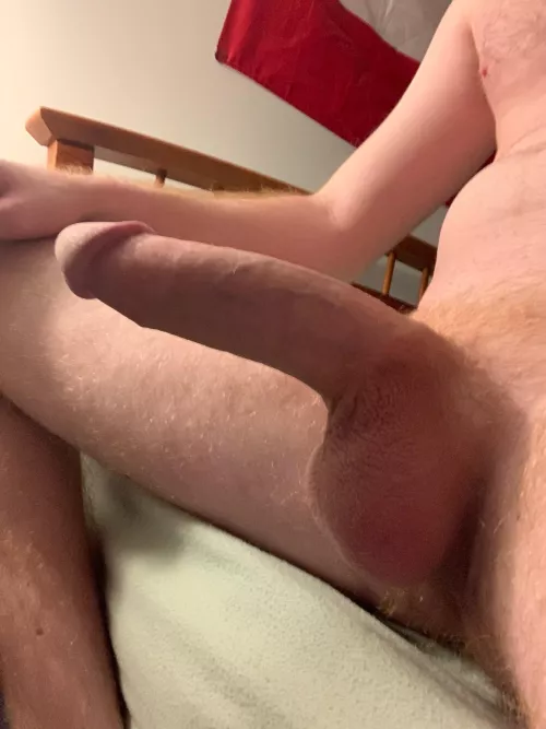 Just looking for a girl to cum in over and over