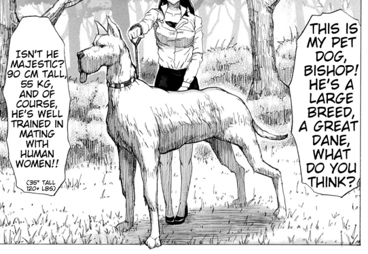 LF Mono Source: This is my pet dog, bishop! He's a large breed, a great dane, what do you think? Isn't he Majestic? 90 cm tall, 55 kg, and of course, he's well trained in mating with human women!!, Dog, leash