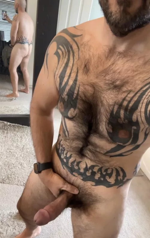 My hairy chest leads down to a big fat cock