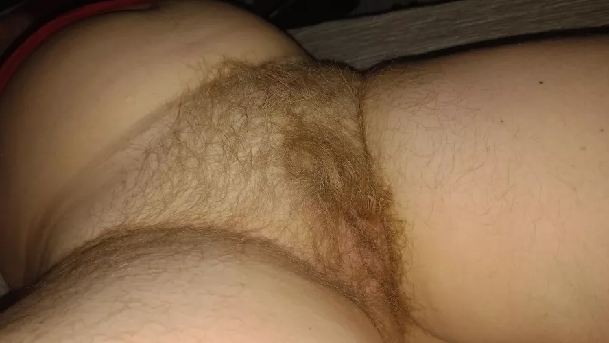 my morning blonde bush