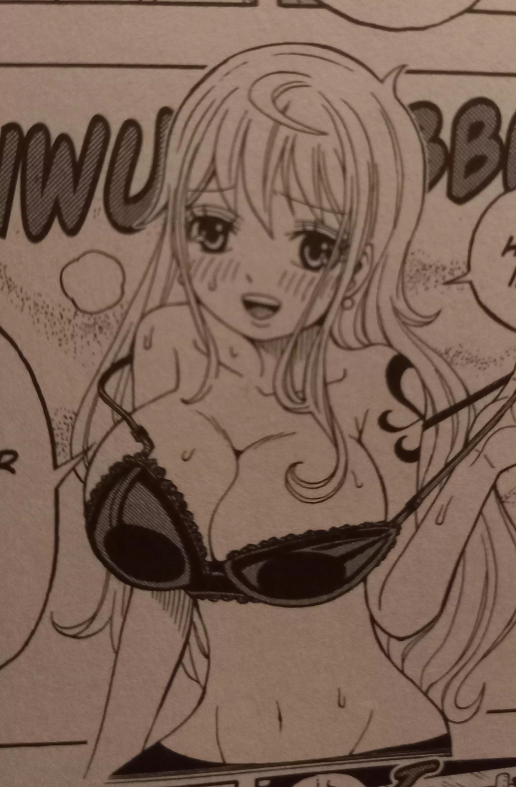 Official Art in a One Piece Spin Off (One Piece Party)