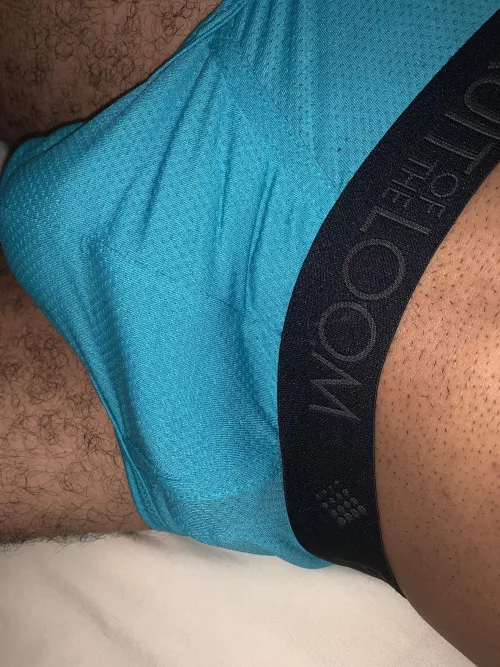Wearing u/jockjunk’s dirty briefs