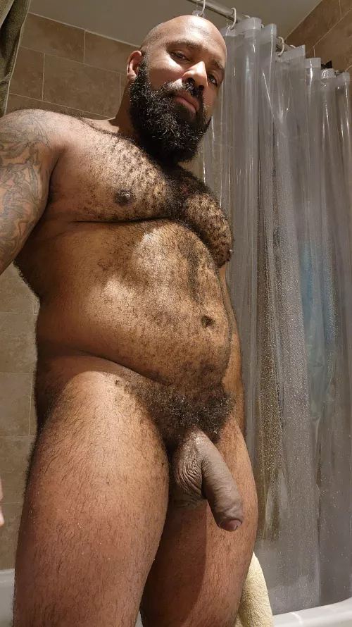 Wet, bear cock