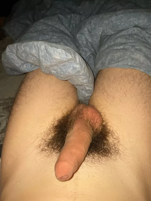 Who wanna see it hard and compare ? (French and hairy is a + )