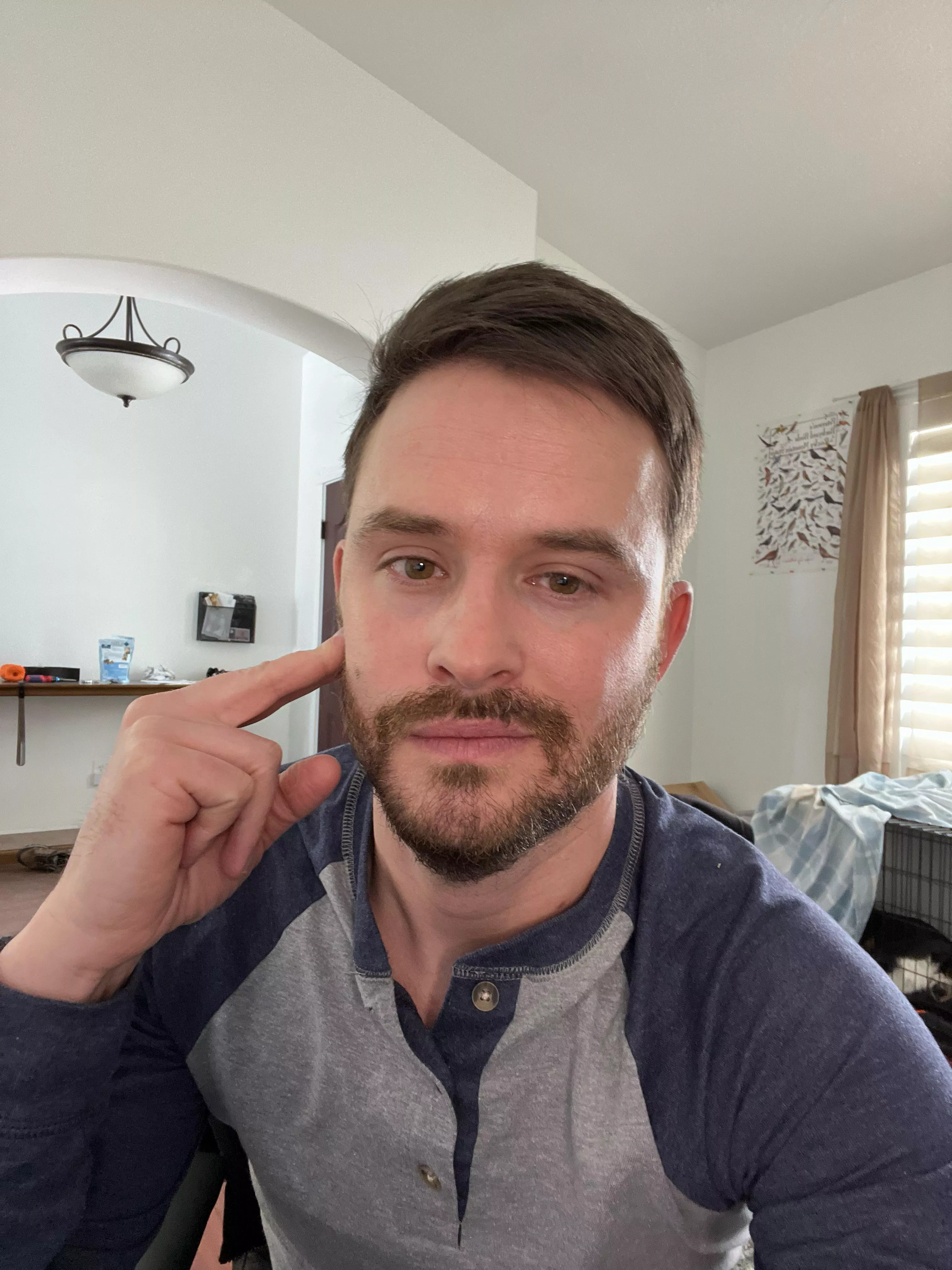 Working from home after the blizzard