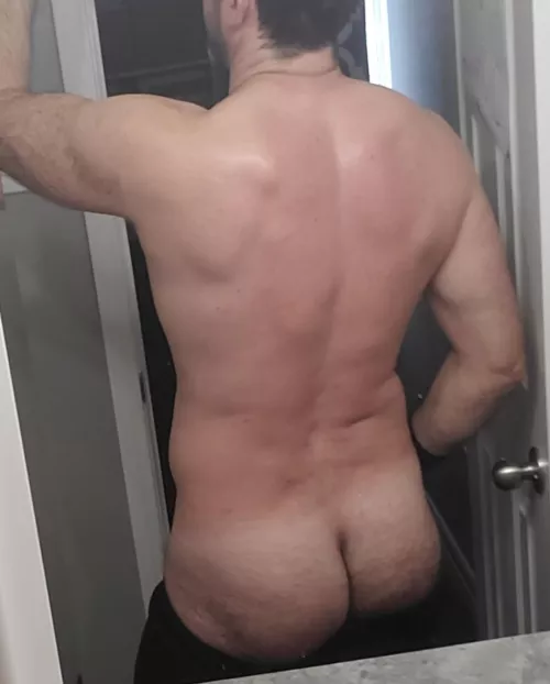 your next scratching post [42]