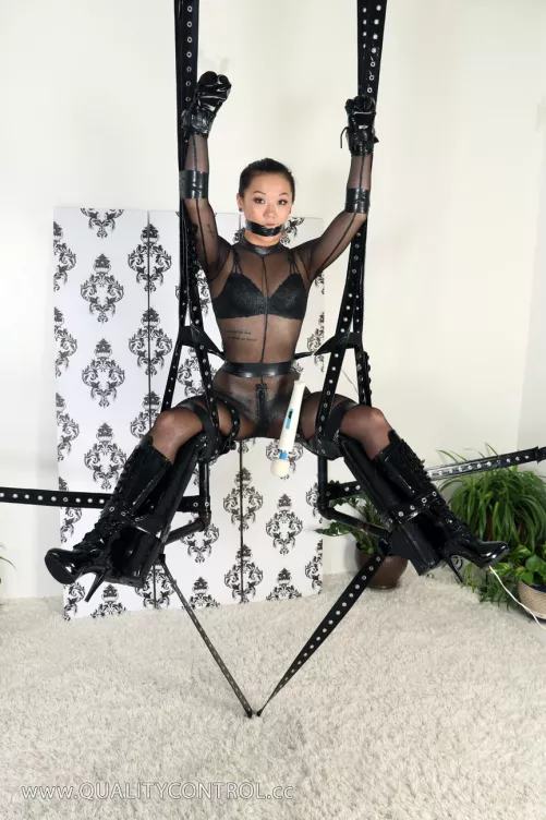 Bondage version of a swing