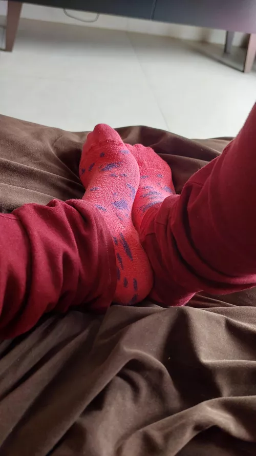 Cute socks